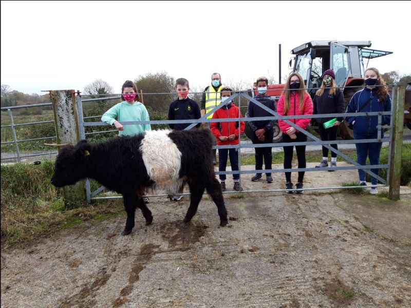 limerickyouth's tweet photo. All the latest news from #limyouth inc a trip to the farm, a virtual AGM for @comhairlelimk #StandUp2020 with @BeLonG_To dodgelball. #youthwave & more in #Infolink #lys @ywirl @LimClareETB - https://t.co/K2nagP38yt https://t.co/oFU09eRzEX