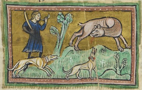 Today we walk another of London's rivers: the  #BeverleyBrook. 'Beferithi', 'Beferlic', 'Bevreli', 'Beverley', it preserves in its name a trace echo of a time when it was home to beavers. Alas, they have long since gone. (Here one is cornered & gnaws off its testicles...)