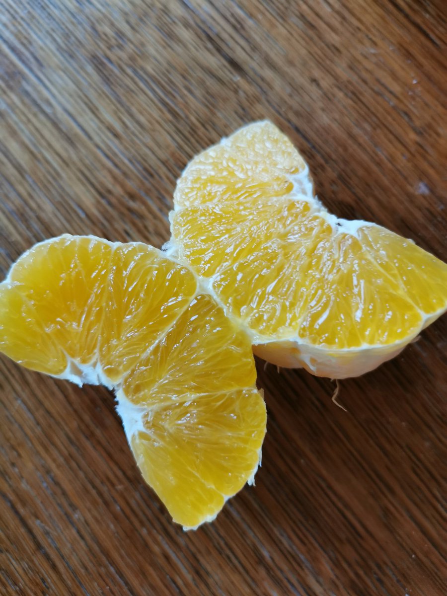 1/3. When winter is near, start eating 2 or 3 oranges daily. Don't juice it. It's like mopping up your guts, the acidic juice acts as a solvent and detergent, the fiber is like a mop. It cleans the guts from old wastes, fats, metabolites etc. Melts away thick mucus and pglegm