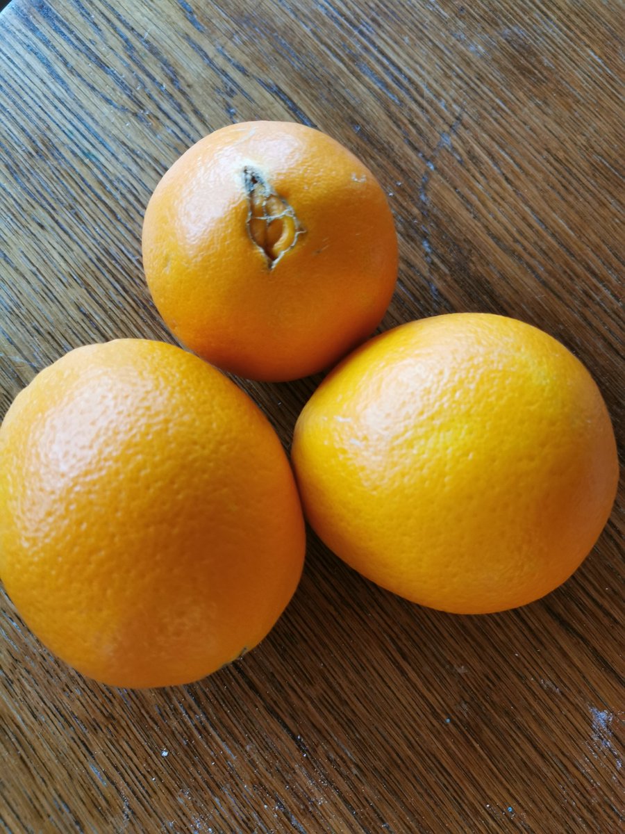 2/3. Navel oranges are the best variety for eating, they can be identified as having a funny navel like thing at its bottom, from inside they look like they have small pieces near the navel. This variety has thin skin which is easy and pleasant to chew on.