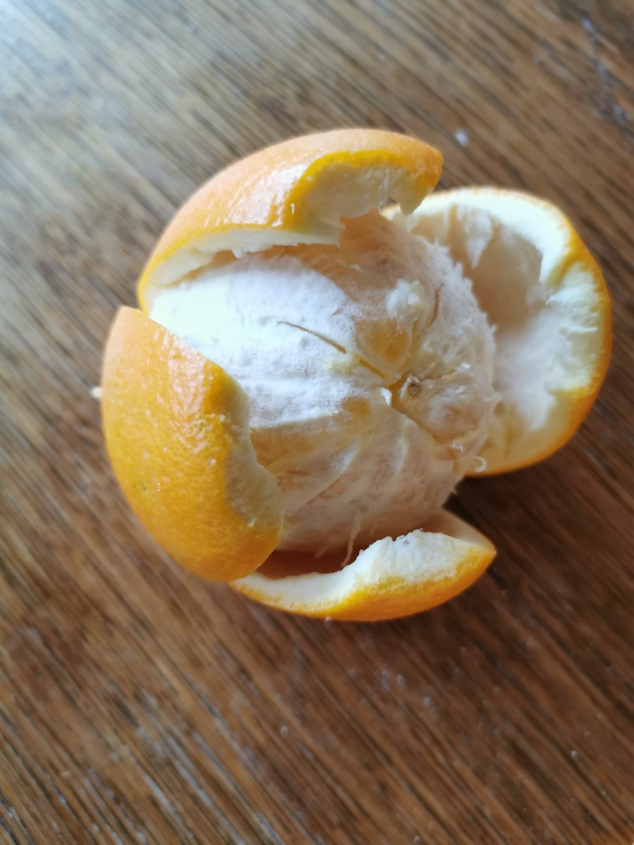3/3. Easiest non messy way of eating it, cut off the top then slit the peel on a quarter basis, then remove the peel. Needless to say, go for organic oranges, and better buy directly from farmers, everything can be shipped these days. With 3 oranges a day you can forget the flu