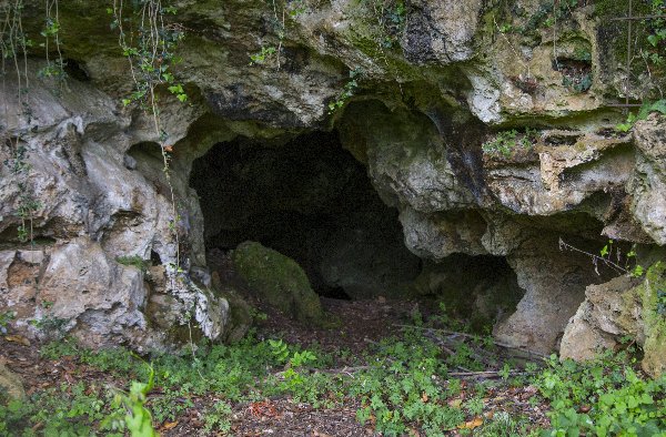 regcantabrorum's tweet photo. ¡Buenos dias #Cantabria 💢! Hoy desde la cueva de #Angelita o #ElMapa📍#Camargo, una cavidad totalmente abandonada que contiene un enterramiento de al menos 4 individuos entre el #Calcolitico y la #EdadDelBronce. Estas cuevas también existen #Pableras 🙋‍♂️ https://t.co/AoBSQC4TAC https://t.co/zssGPEd9lp