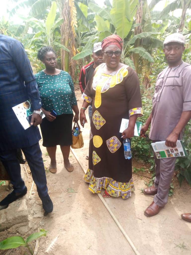 sdfarmsng's tweet photo. Representatives from the ministry of Science and technology on a study tour of #SDFarms.We appreciate the recognition of our efforts to promote the need for multisectoral collaboration that will ensure #foodsecurity &amp; #environmentalsustainability @stiwuagwu @IITA @IFAD @CGIAR https://t.co/FzD4P5waN5