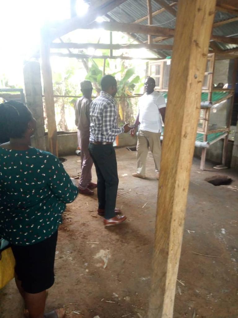 sdfarmsng's tweet photo. Representatives from the ministry of Science and technology on a study tour of #SDFarms.We appreciate the recognition of our efforts to promote the need for multisectoral collaboration that will ensure #foodsecurity &amp; #environmentalsustainability @stiwuagwu @IITA @IFAD @CGIAR https://t.co/FzD4P5waN5