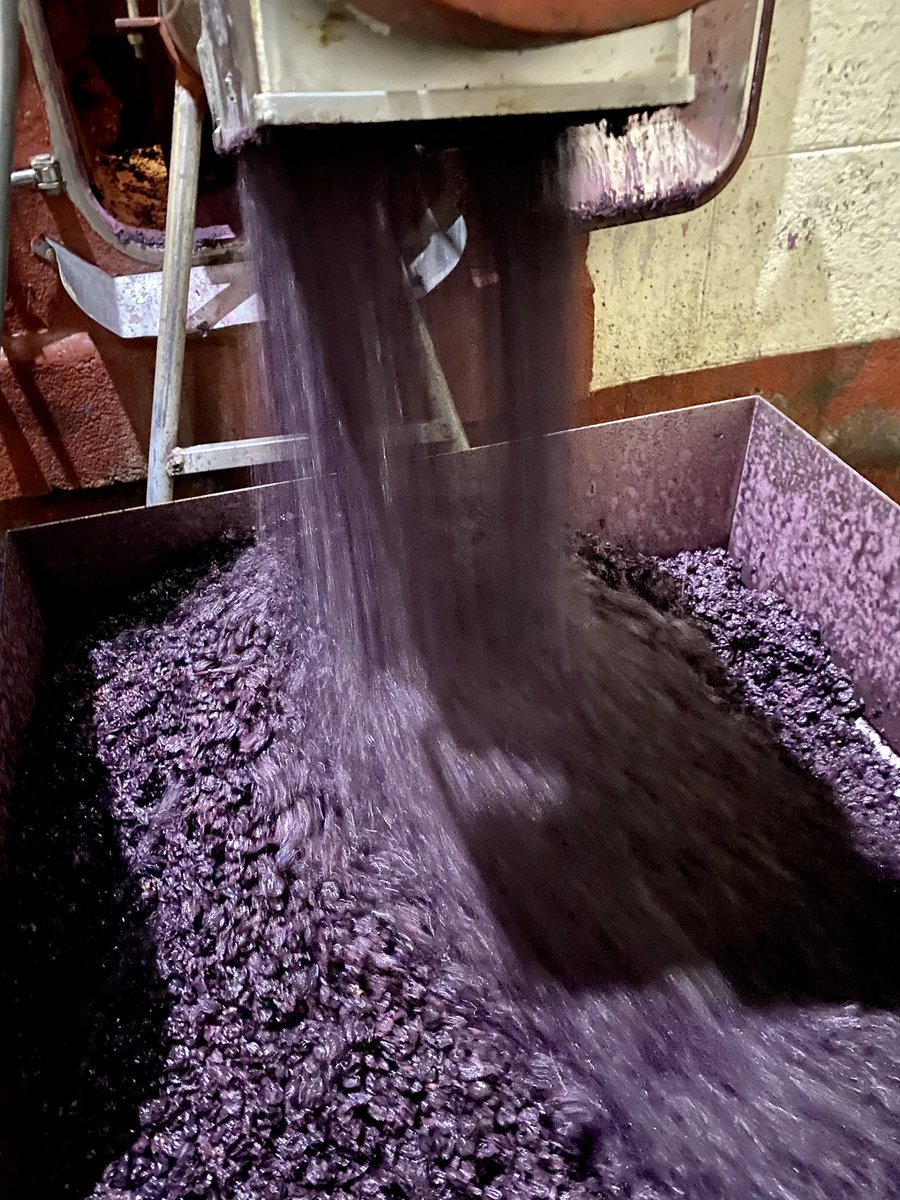 11200chlb's tweet photo. Vendredi 13 novembre. Dernier décuvage à la Bastide. Ainsi notre équipe a très bien terminé ce millésime si particulier.Bravo aux hommes de l’ombre ! #audetourisme #Occitanie #winetime #chateaulabastide @VinsduLanguedoc @aoccorbieres @TerredeVins #winery #exportwine #cavistes https://t.co/LJbpz6uprT