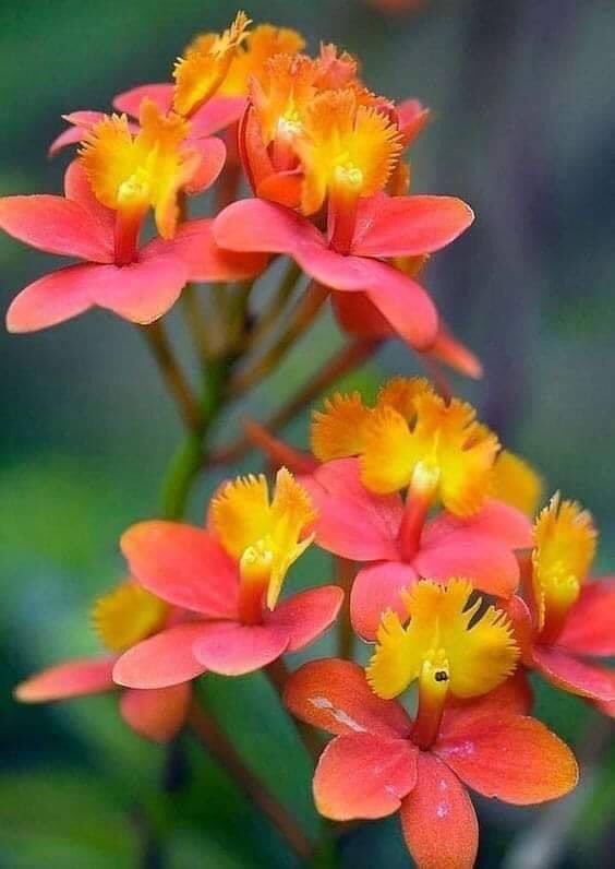 #Gözlerinizi ve Kalbinizi çok #Kıymetli iki Hediye için #Açın...!!!
#Nefes Almak...!
#Ve Yaşamak...!!!
                      🌹🌹
#GünaydınArkadaşlar...!!!
#MutluHaftaSonu...!!!
                      🌼🌼