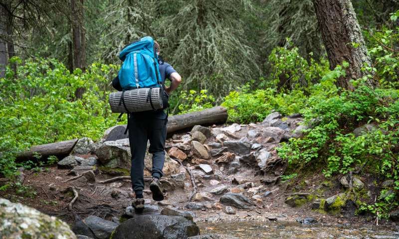 thrivecharity's tweet photo. This study takes a fascinating look into our psychological relationship with nature.

'The study found that people's attachment to the wilderness can be explained by their basic psychological needs for autonomy, relatedness and competence.'

Read more: https://t.co/PRRv2FuLg7 https://t.co/SGOB8M7PGD