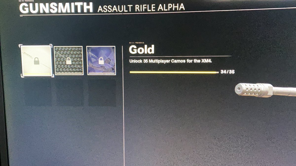 SkyEpicC0D's tweet photo. @CallofDuty where is my gold camo? https://t.co/MQwIdCFth5