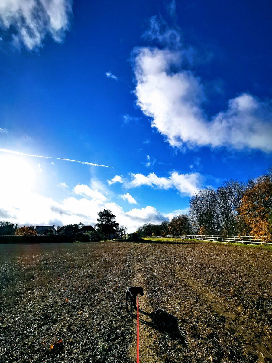 WarrenHobden's tweet photo. Friday fresh air. Getting out for fresh air between meetings. So nice. https://t.co/VWK2B4ETlr