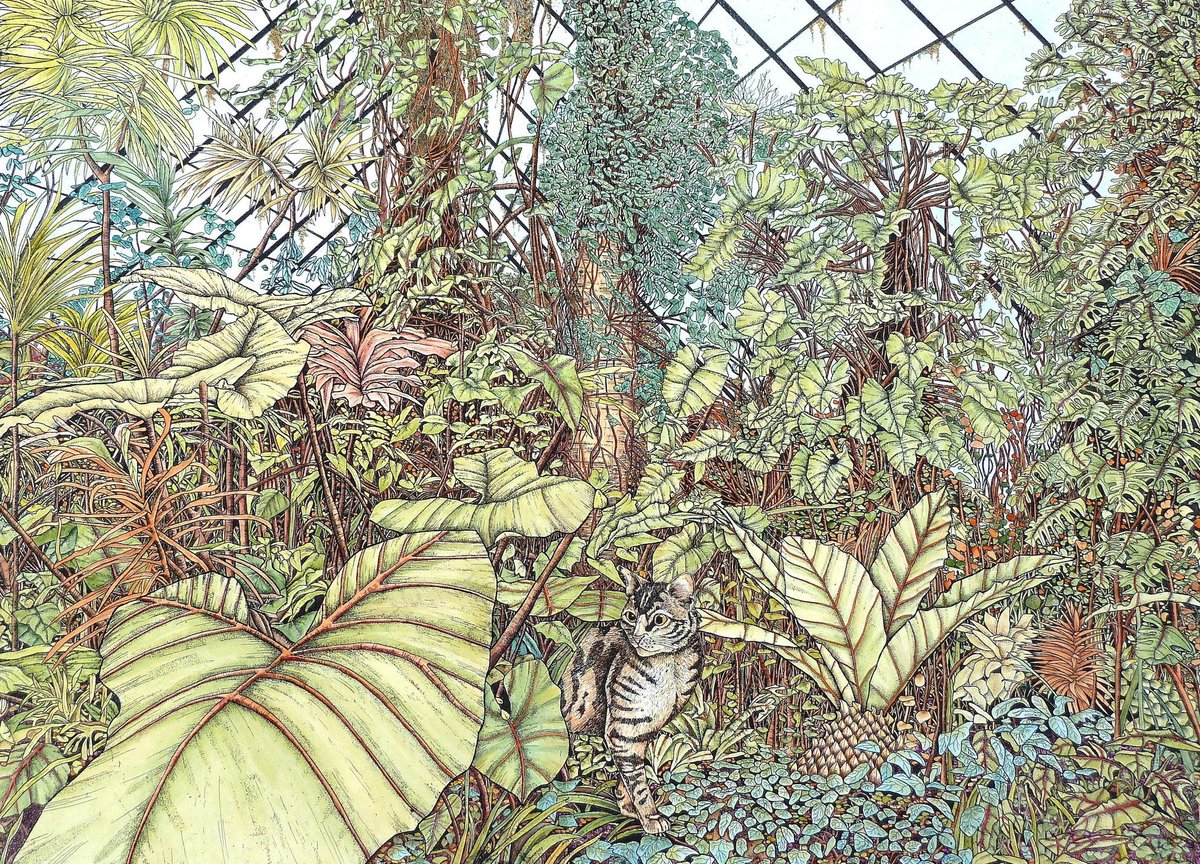 re_printmakers's tweet image. A beautiful etching and watercolour for your #caturday fix - ⁠
'Conservatory Cat' by Meg Dutton, from our exhibition 'Printmakers in Lockdown' currently running online, re-printmakers.com/exhibitions/22…
.⁠
#printmakersinlockdown #banksidegallery