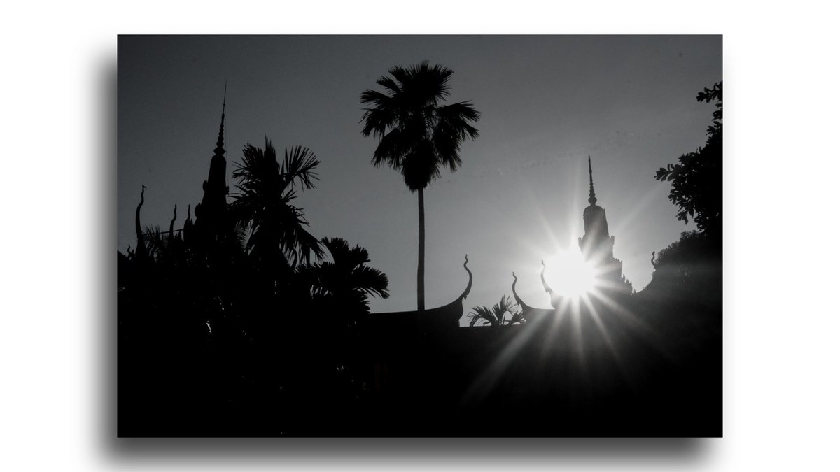 KayasethV's tweet image. Chasing the light