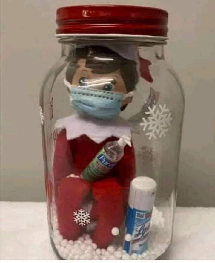 JanuaryRees's tweet image. 