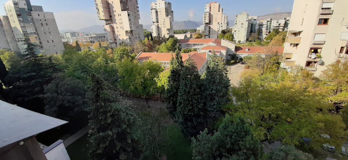 hizhajest's tweet image. #zelenilo #luksuz #blokopeticani