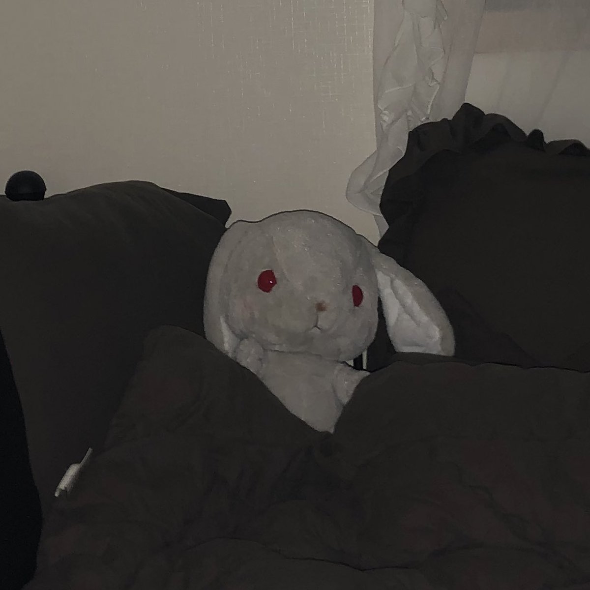 심즈 경력 13년 내방도 잘꾸며요