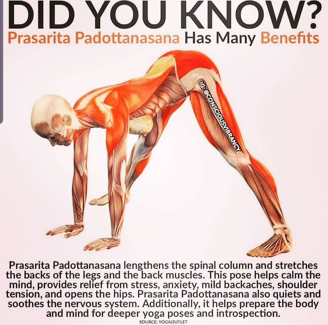 KhojastehNazan1's tweet image. This wide stance forward bend is a standing forward bend asana. It stretches and strengthens the hamstrings, calves, hips, low back, and spine. The various arm positions stretch your shoulders, wrists, forearms, and upper back. #forwardfolds #inversions #ACalmedMind