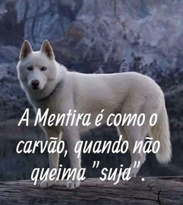 realdomraimundo's tweet photo. https://t.co/8WPNr9AQ7V