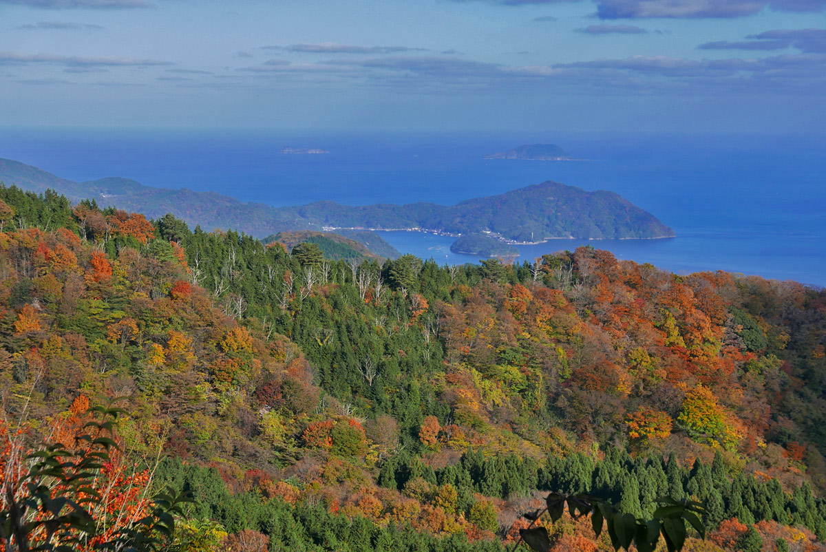 zephr2009's tweet photo. 丹後縦貫林道、めっちゃ紅葉してました
落ち葉は多いですが、乾いているので、それほど滑る心配はなかったです
ツーリング、ドライブ、トレッキングどれでも楽しめることでしょう

#丹後半島
#縦貫林道
#デイトナ675 https://t.co/mBnQopDrxG