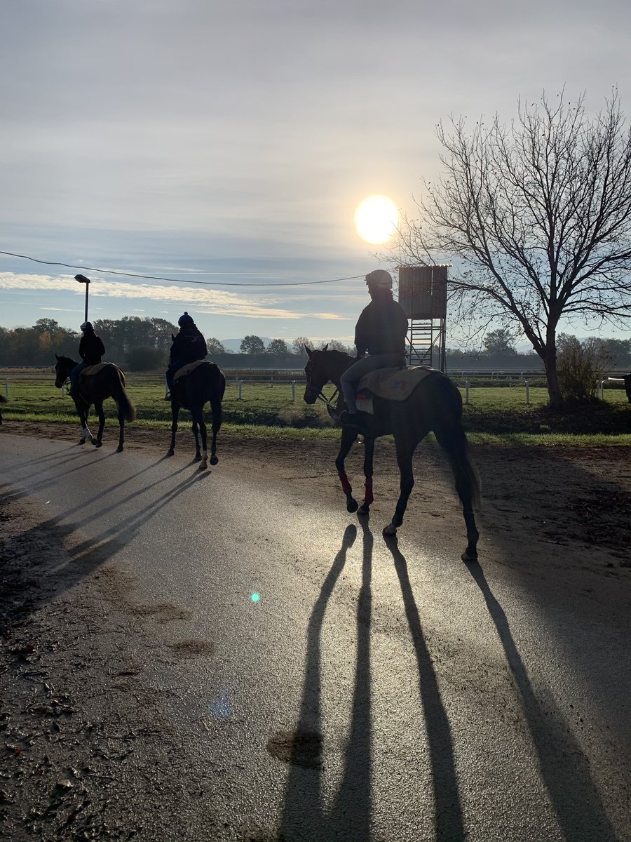 Galopprennbahn Baden-Baden · Iffezheim tweet media