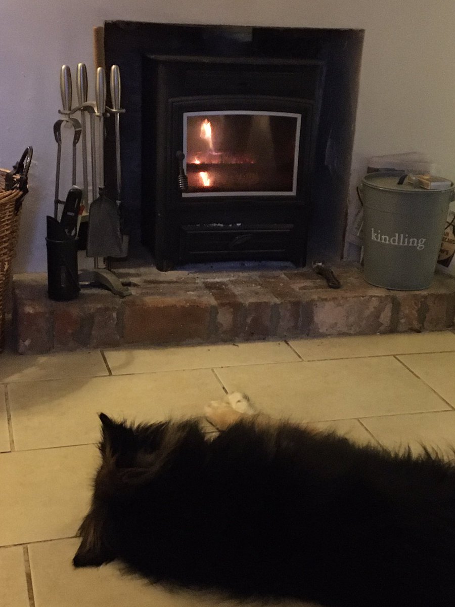 Today we will be doing mostly this #rest #restore #relax