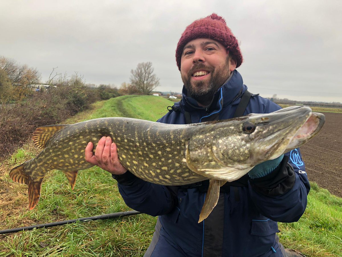 Ben Cook tweet media