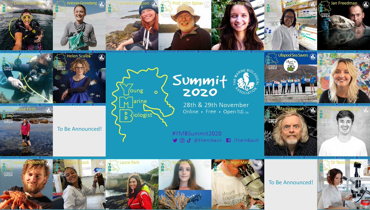 thembauk's tweet photo. 2 weeks to go until the #YMBSummit2020! We've got an exciting line-up of speakers, discussing the #ChangingOcean, #SharingScience, #MarineCareers, and fighting for their favourite species in the #SealifeShowdown! 🌊📚🐙
Book your FREE spot👉 https://t.co/D3XAZpzQFI
@saveourseas https://t.co/f8Cdap0tzT