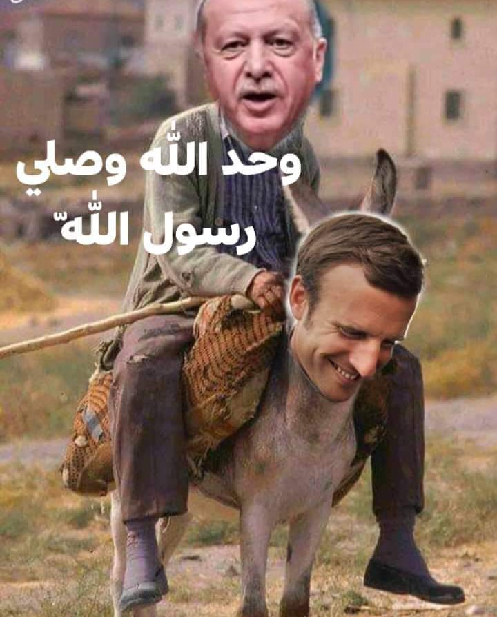 Helya_1453's tweet photo. "You can only see the lion's speed while hunting, not when racing with the donkeys.'
#OurLion ♥️💪😊 https://t.co/05I6tx5rkZ
