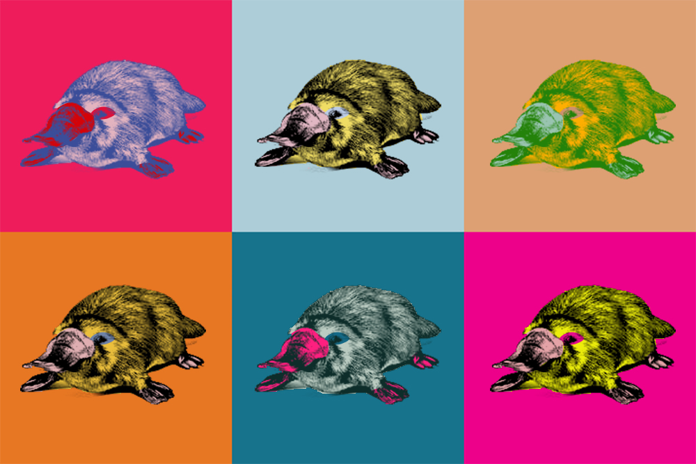 angelmartin_nc's tweet photo. Por cierto... 
Jamás nos llego el video del ornitorrinco fosforito pero Amparo Crespo (si tienes twitter da un paso al frente) me hizo llegar esta maravilla:
"El ornitorrinco Warhol" https://t.co/dlDbG5O54l