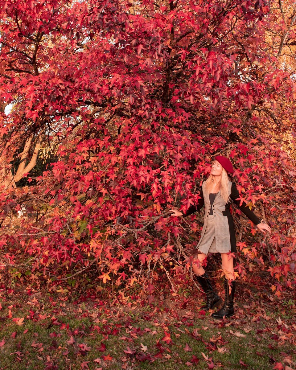 TorinodaScoprir's tweet image. Buongiorno da Torino!

E la natura ci ricorda che è...zona rossa!😉
🍁🍁🍁🍁🍁🍁🍁🍁🍁🍁🍁🍁🍁🍁🍁

#torino #piemonte #visitpiemonte
— a Torino. (info di Viaggio)