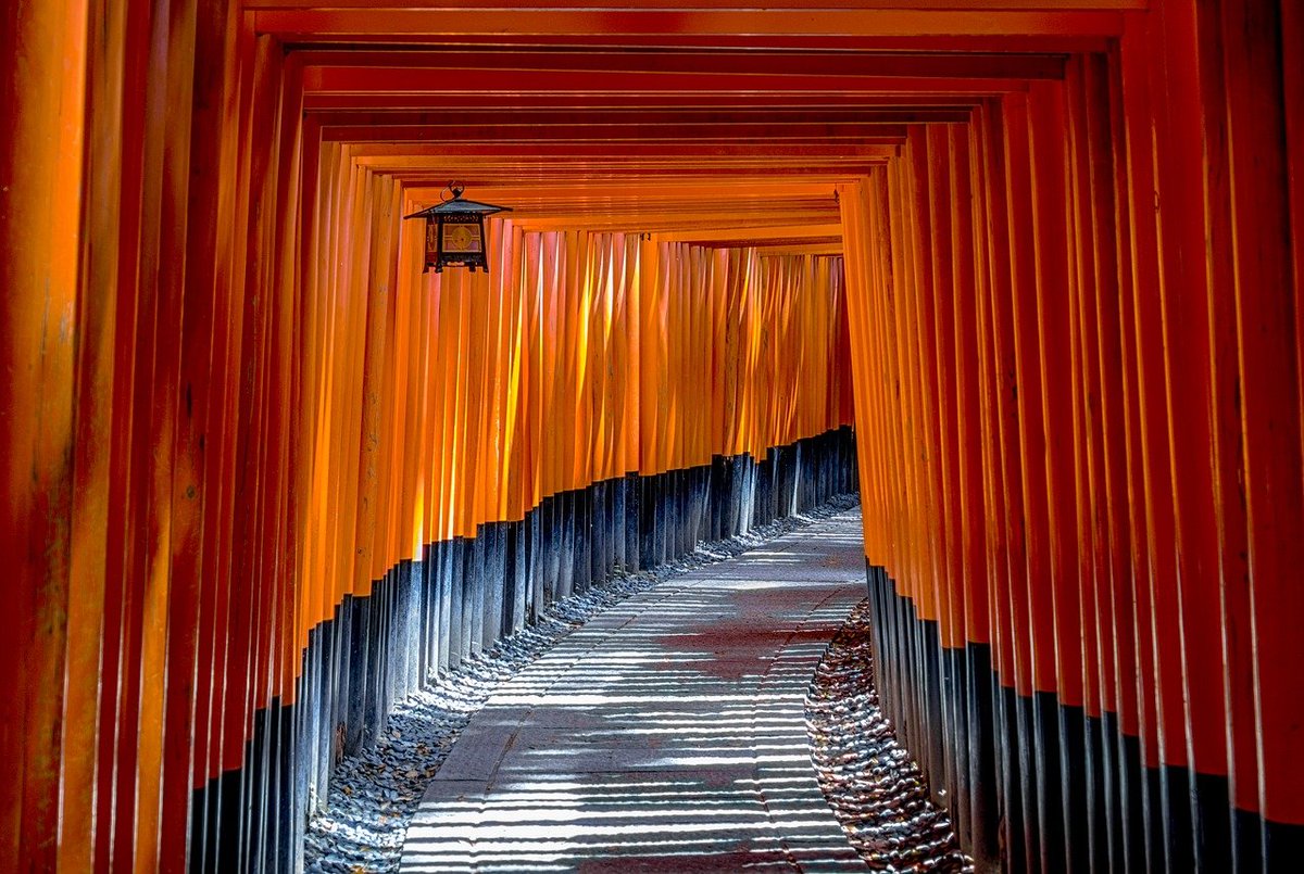 torii, gate, architecture