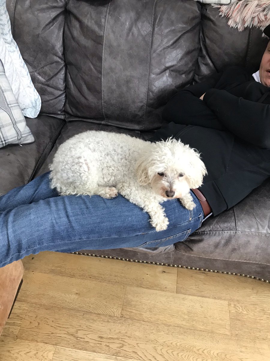 bobbieperry83@gmail.com tweet media