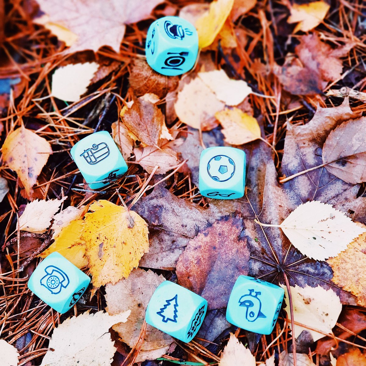 Woodland storytelling using story dice, a wonderful environment to inspire creativity.