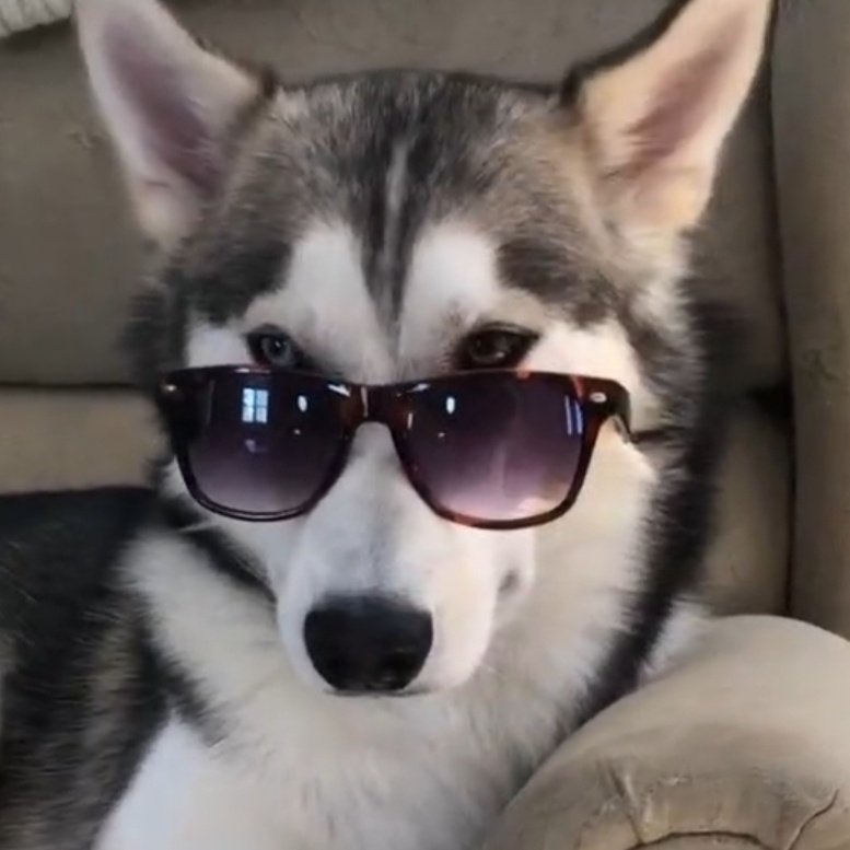 Lee Siyeon a wolf: thread