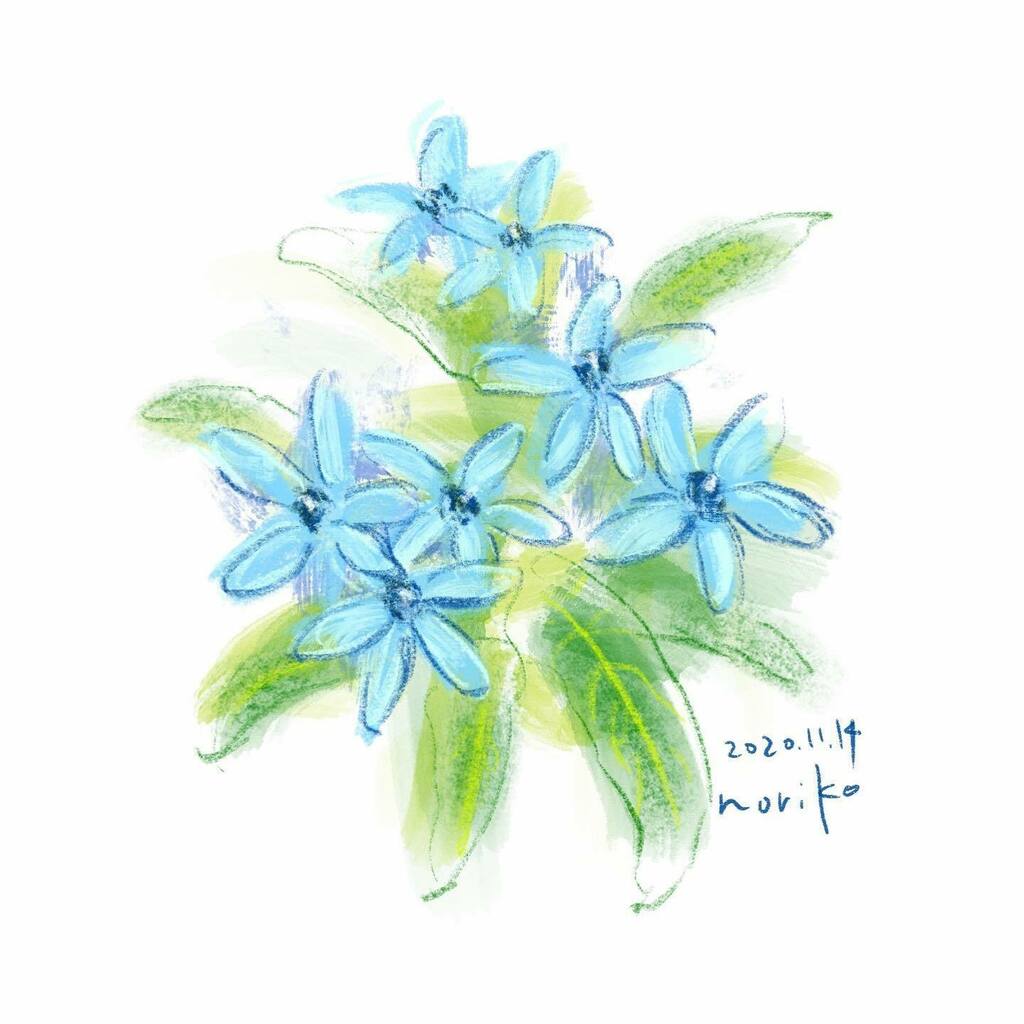 オキシペタラム Twitter Search Twitter