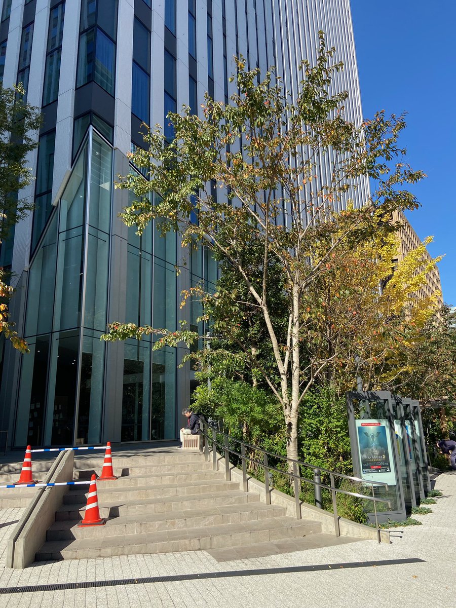 kawauso_twi's tweet photo. 明日11月15日、みなと科学館で開催される僕の講演イベント、みなさんとリアルにお会いできるのを楽しみにしています。よろしくお願いします！
参加する人、手をあげて！(笑) https://t.co/m4ppHkFpry