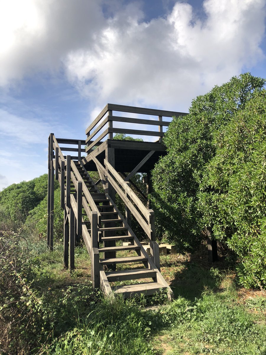 martabertran's tweet photo. Bon dia @ibanat_IB. Acabam de veure que l’estructura d’una torre de s’Albufera té les fustes cremades de l’incendi. On podem avisar que ho revisin? Adjuntam unes fotos. Gràcies https://t.co/GgcaU40HXj