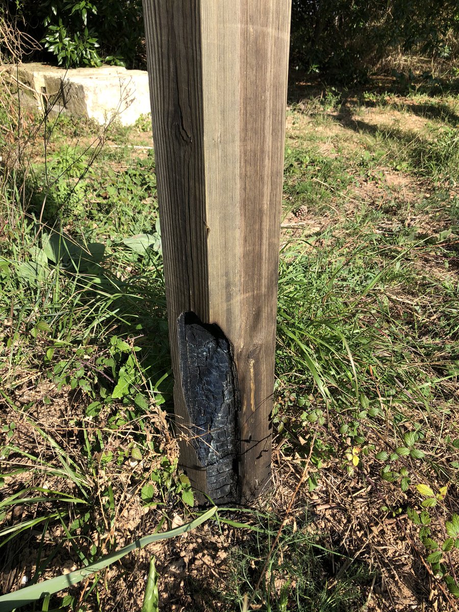 martabertran's tweet photo. Bon dia @ibanat_IB. Acabam de veure que l’estructura d’una torre de s’Albufera té les fustes cremades de l’incendi. On podem avisar que ho revisin? Adjuntam unes fotos. Gràcies https://t.co/GgcaU40HXj