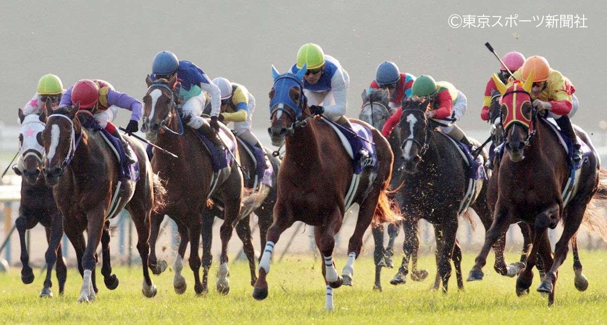 秋の夜長に思い出の #エリザベス女王杯 その③🎑 2007年 #ダイワ