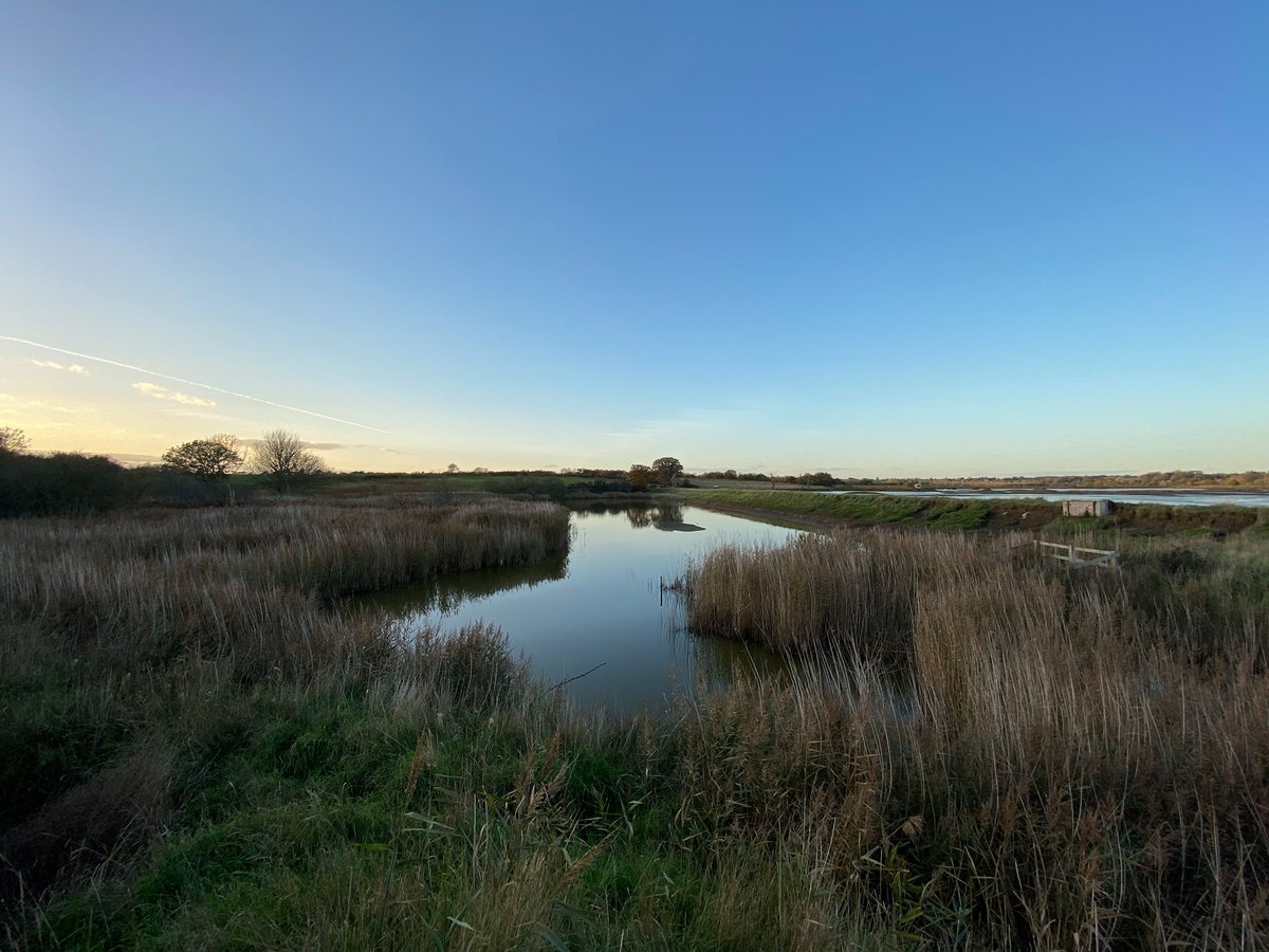  #F is for Fingringhoe. This Essex Wildlife Trust reserve is open for visitors, but the visitor centre & facilities are currently closed. Some wonderful walks here and unique habitats for wildlife.  #AtoZofLockdownColchester https://www.visitcolchester.com/.../fingringhoe-wick...