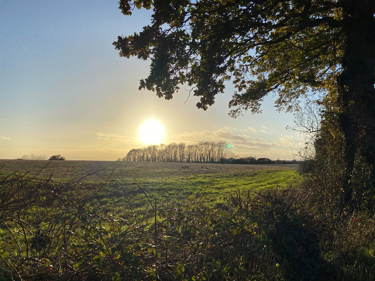  #F is for Fingringhoe. This Essex Wildlife Trust reserve is open for visitors, but the visitor centre & facilities are currently closed. Some wonderful walks here and unique habitats for wildlife.  #AtoZofLockdownColchester https://www.visitcolchester.com/.../fingringhoe-wick...