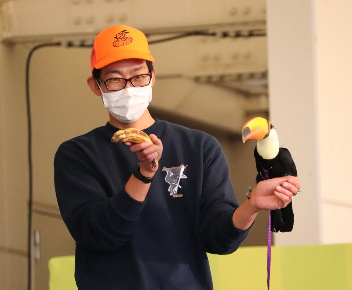 オニオオハシ オニオオハシ