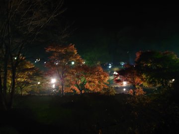 花園オートキャンプ場 北茨城市 オートキャンプサイトが初心者からも評判 口コミ 予約方法 茨城観光 グルメ情報ブログ イバトリ