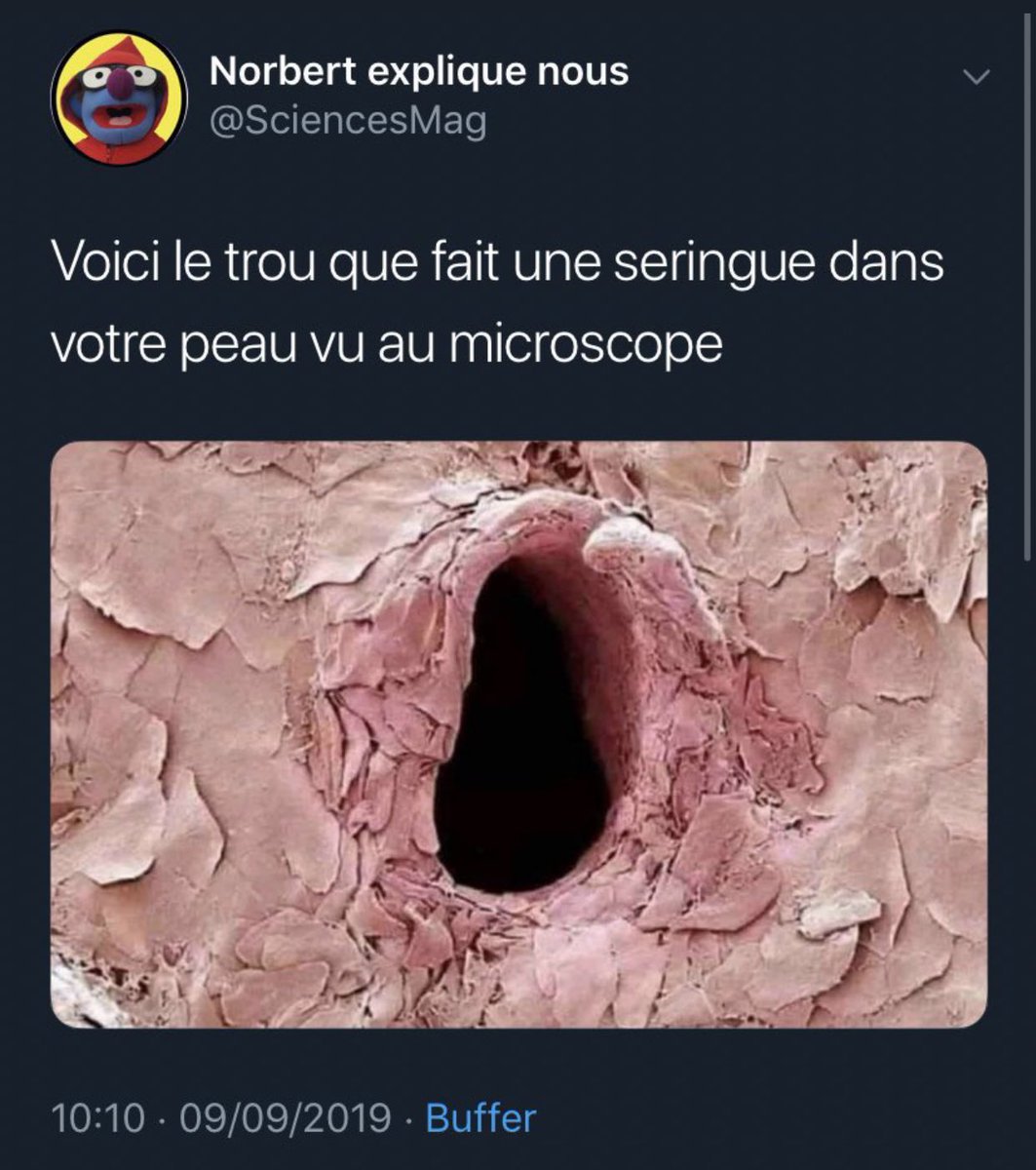 POURQUOI J’AIME TWI🌚TTER tweet media