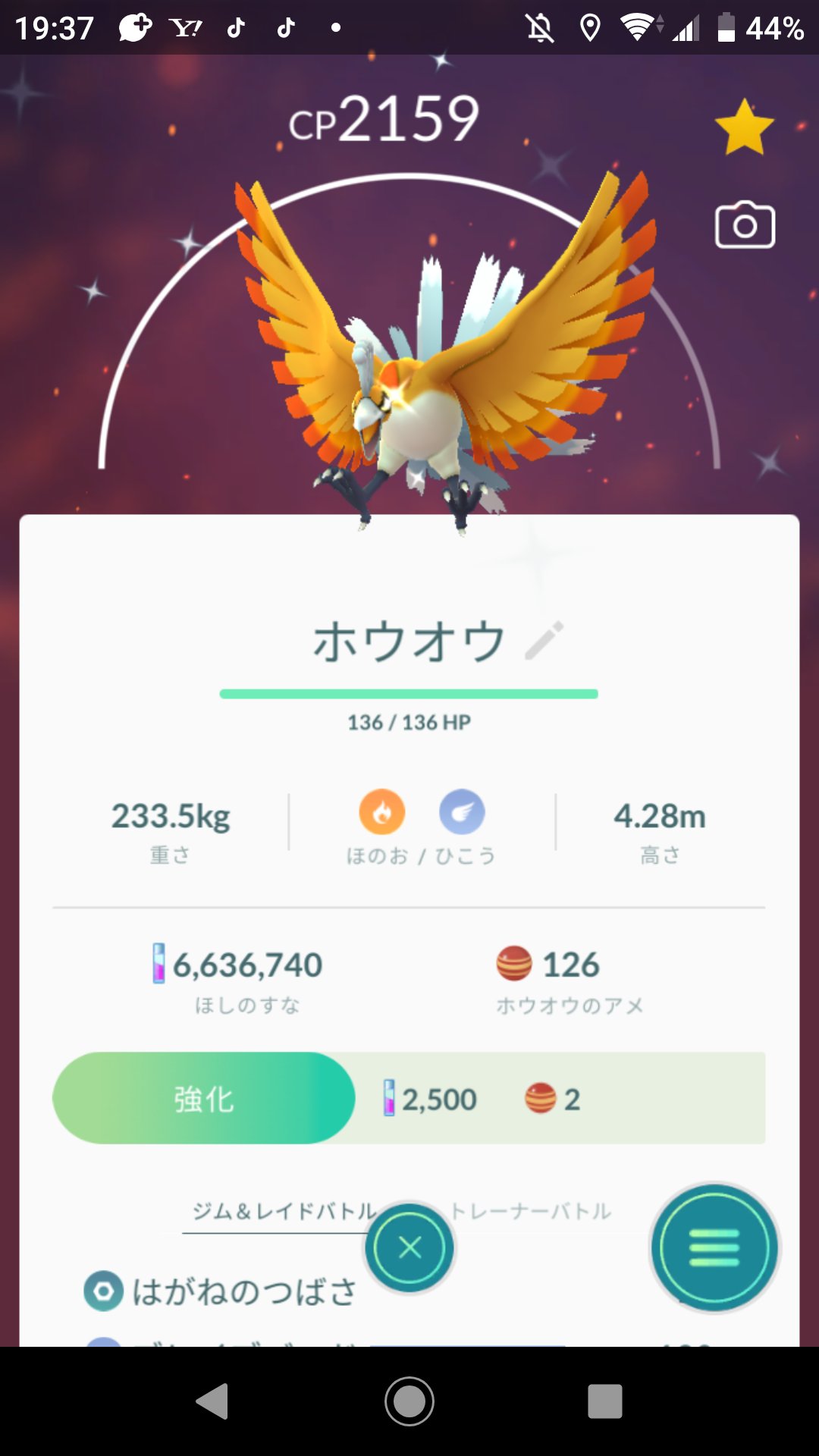 即出荷 ポケモンバトリオレックウザ カイオーガ グラードン ホウオウ ルギア ギラティナ トレーディングカード Nvyrjmyf 即出荷 ポケモンバトリオレックウザ カイオーガ グラードン ホウオウ ルギア ギラティナ トレーディングカード Nvyrjmyf