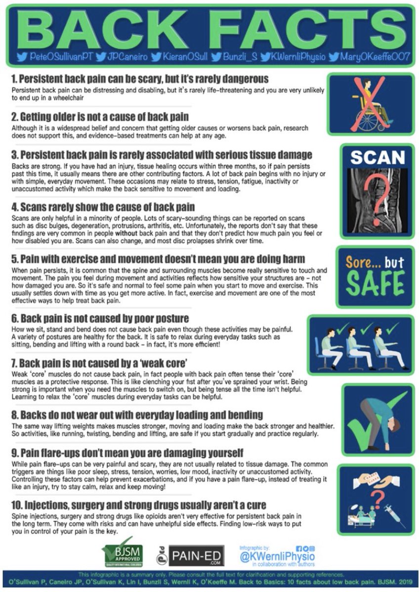 Back to Basics: 10 Facts Every Person Should Know About Back Pain  http://bjsm.bmj.com/content/early  @BJSM_BMJ  @PeteOSullivanPT  @jpcaneiro  @kieranosull  @bunzli_s  @KWernliPhysio  @MaryOKeeffe007