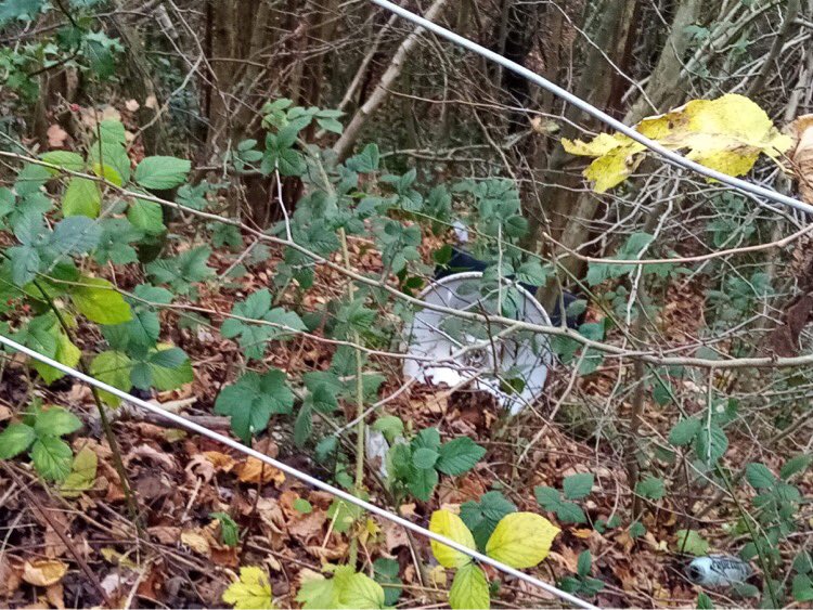 SolveSave's tweet image. Do you know that Sheffield is the 4th worst place for fly tipping? 
Here is where you can report this at Gov.Uk or you can report it to the police on 101👮
#Southyorkshinefireandrescue 
#Southyourkshirepolice
#princestrust 
#protectourenvironment￼