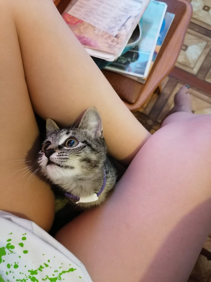 YourDemonsss's tweet photo. Всем привет, это Юкинэ😄 https://t.co/edzBjzRFUN