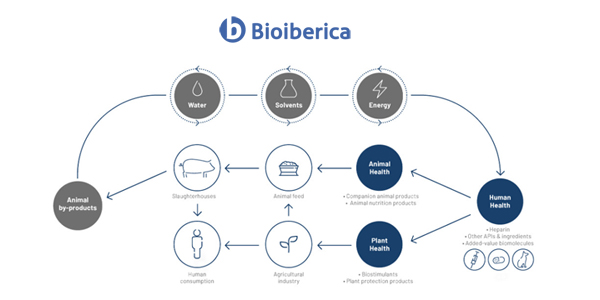 ♻️ <a href="/Bioiberica/">Bioiberica</a>'s production strategy is thus based on the #CircularBioeconomy, writes our R&amp;D Director <a href="/JVelascoAlvarez/">Javier Velasco</a>: ow.ly/g1H930rjlfE 

#BioibericaBlog