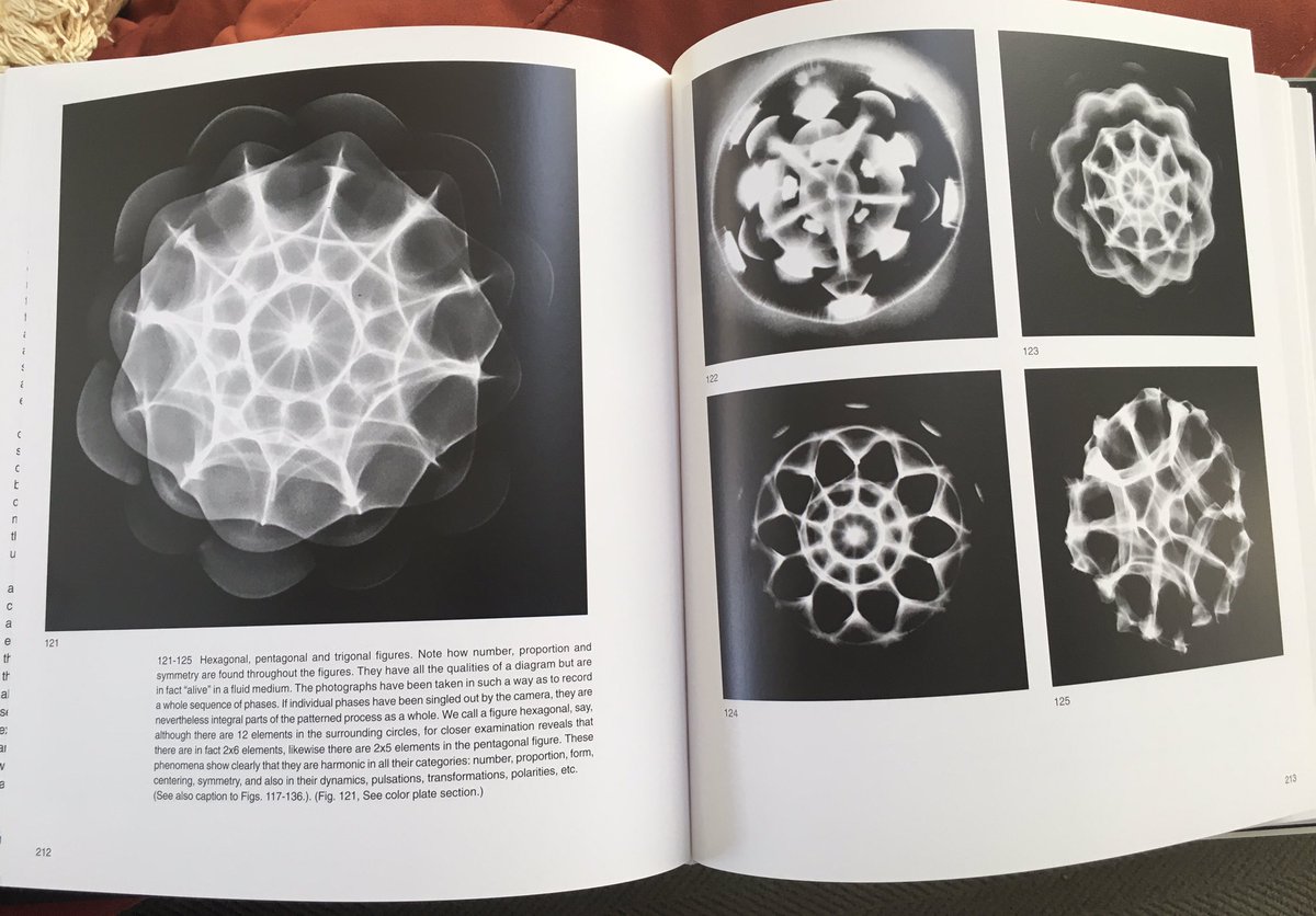 If you’re interested in learning more about Cymatics, this is the book to get. It’s expensive and hard to find—but an indispensable guide to Hans Jenny’s 14 years of meticulous experiments into the formative and organizing power of sound.