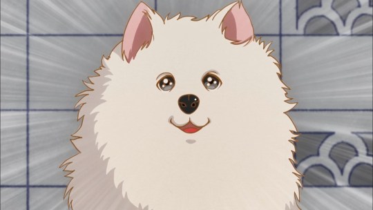 Today's anime dog of the day is: Alexander from