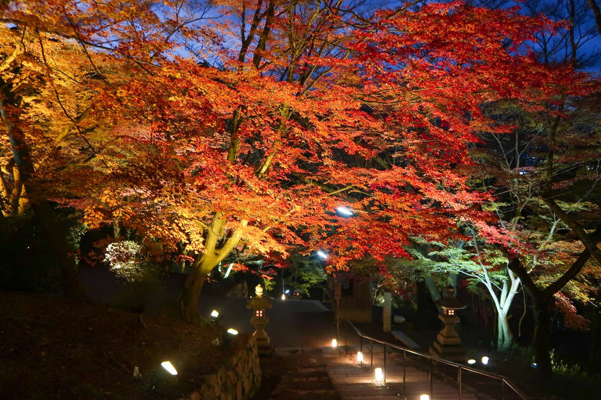 Ichiban Japan tweet media